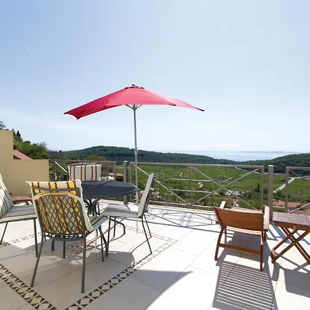 Pet Friendly In * Čara