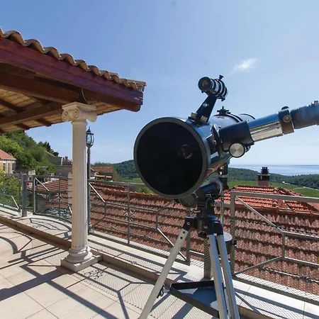 Pet Friendly In Čara